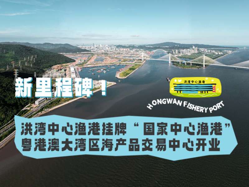 新里程碑！洪灣中心漁港掛牌“國家中心漁港”， 粵港澳大灣區(qū)海產(chǎn)品交易中心開業(yè)